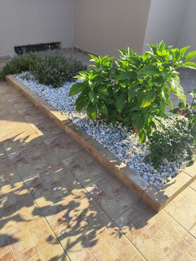 #4 Giorgos & Chara Apartments Νέα Κυδωνία Εξωτερικό φωτογραφία